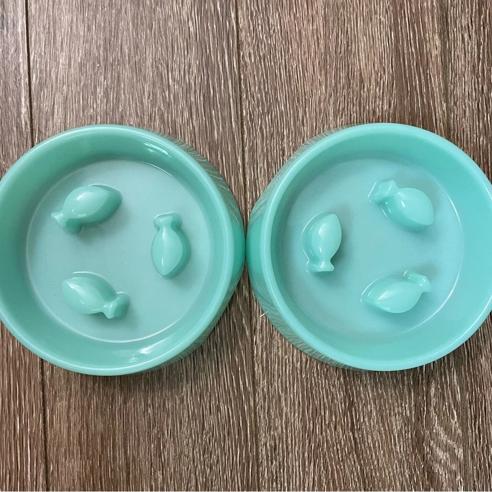 Automatic cat feeder and slow feeder bundle